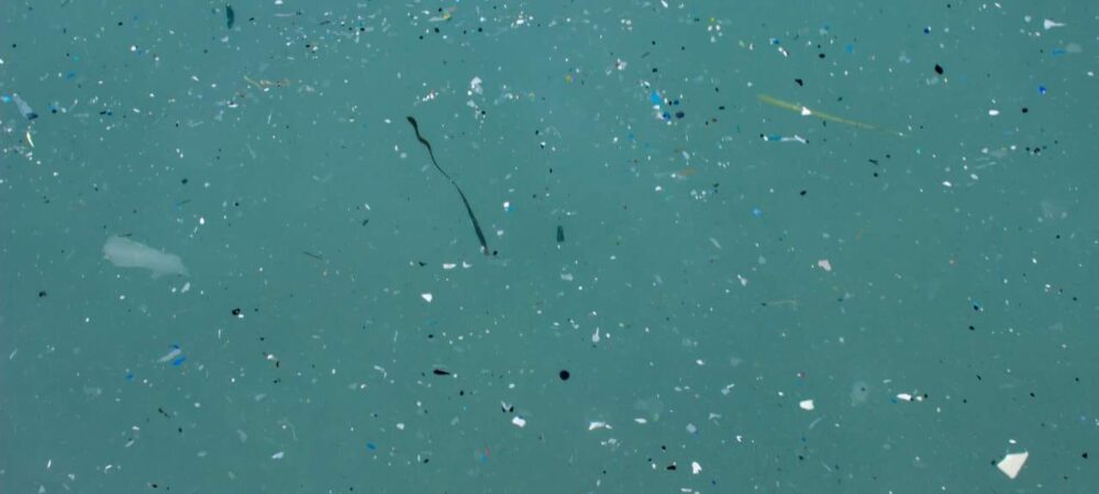 Microplastics hersenen